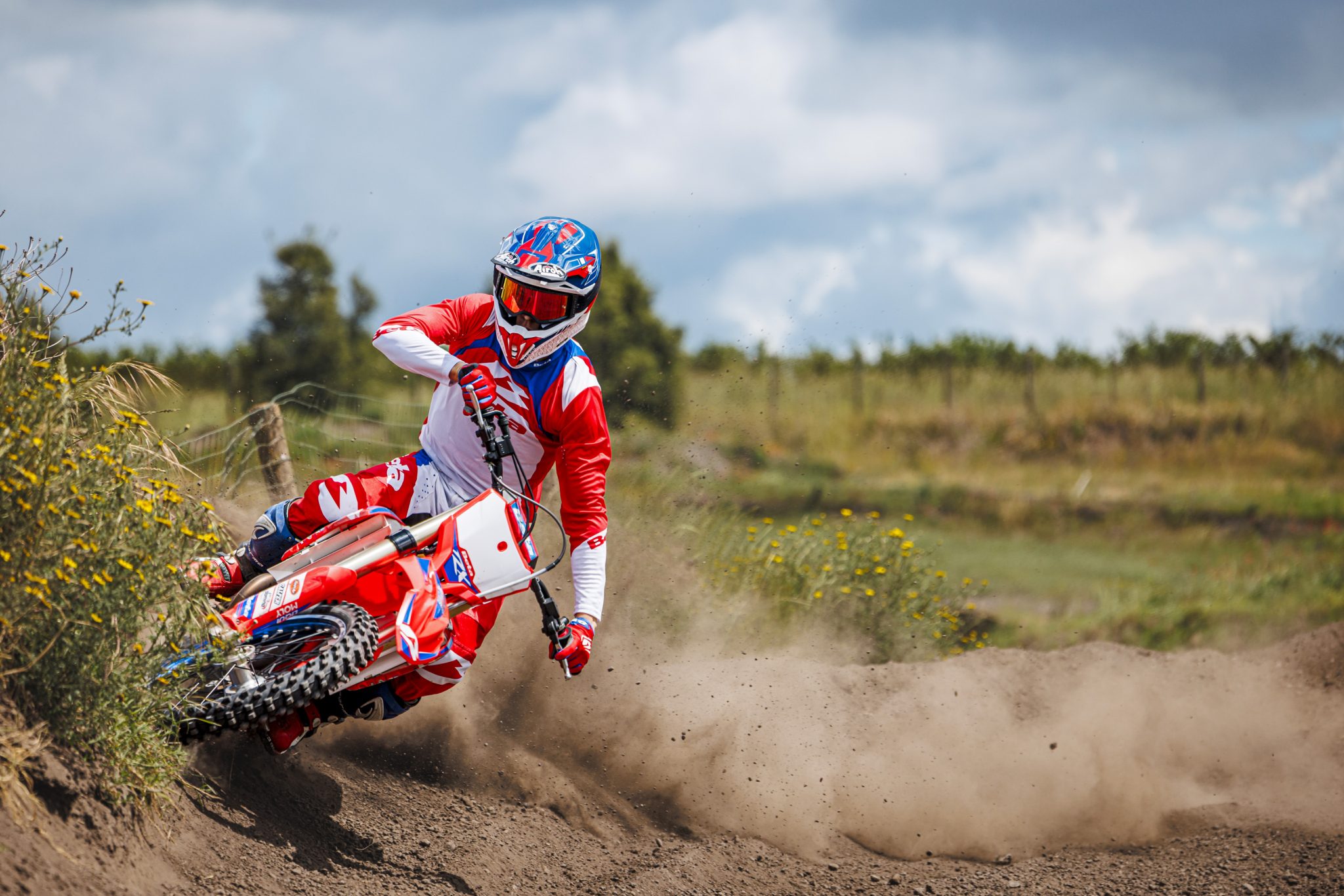 2025 RX – Beta USA Gallery